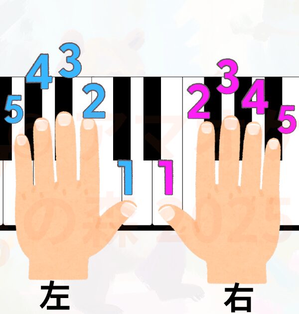 「1番の指」ってどれ？ ヴァイオリンとピアノで全然違う指番号のはなし4